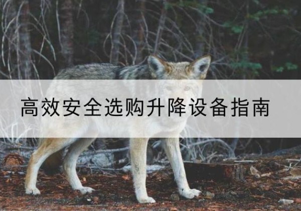 宾阳升降货梯厂家推荐-*安全选购升降设备指南