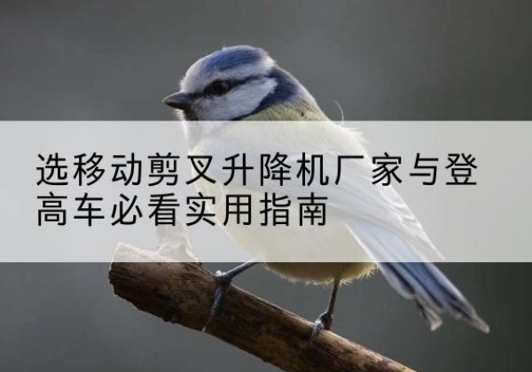 宾阳电动升降机厂家-选移动剪叉升降机厂家与登高车必看实用指南